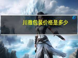川雅包装价格是多少
