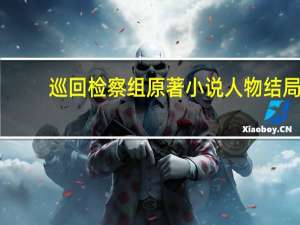 巡回检察组原著小说人物结局（巡回检察组 原著小说）