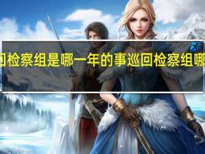 巡回检察组是哪一年的事 巡回检察组哪个台播出
