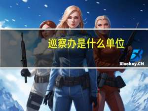 巡察办是什么单位