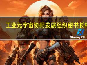 工业元宇宙协同发展组织秘书长柯斌：人工智能算力算法等层面的竞争是一种国力竞争