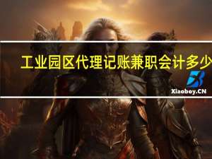 工业园区代理记账兼职会计多少钱
