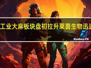 工业大麻板块盘初拉升 莱茵生物迅速涨停