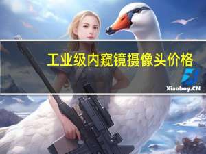 工业级内窥镜摄像头价格