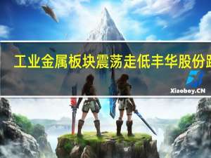 工业金属板块震荡走低 丰华股份跌停