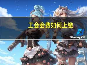 工会会费如何上缴