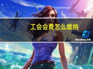 工会会费怎么缴纳