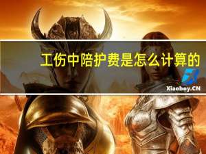工伤中陪护费是怎么计算的