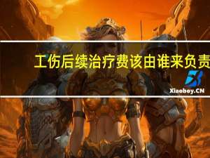 工伤后续治疗费该由谁来负责
