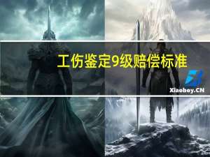 工伤鉴定9级赔偿标准