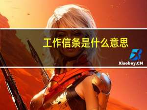 工作信条是什么意思