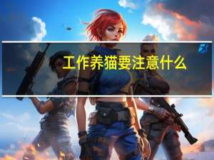 工作养猫要注意什么
