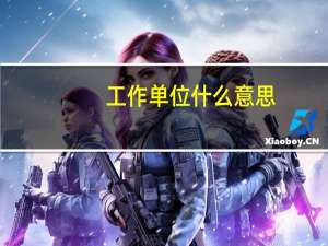 工作单位什么意思