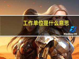 工作单位是什么意思