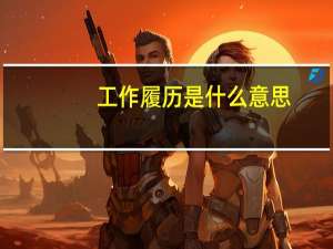 工作履历是什么意思