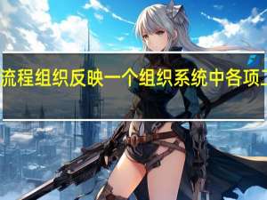工作流程组织反映一个组织系统中各项工作之间的()关系。