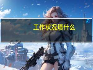 工作状况填什么