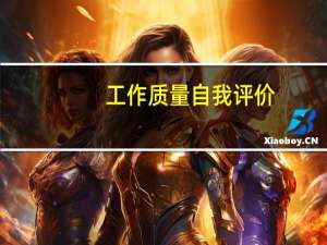 工作质量自我评价