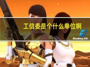 工信委是个什么单位啊
