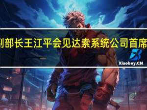 工信部副部长王江平会见达索系统公司首席执行官达洛兹