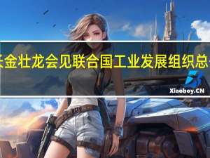 工信部部长金壮龙会见联合国工业发展组织总干事格尔德·穆勒