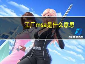 工厂msa是什么意思（msa是什么意思）