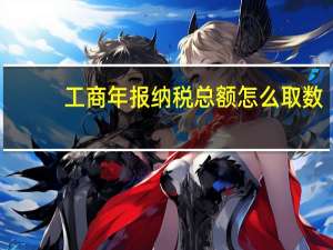 工商年报纳税总额怎么取数