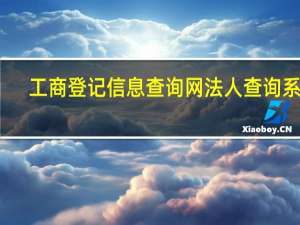 工商登记信息查询网法人查询系统（工商登记信息查询网法人查询）