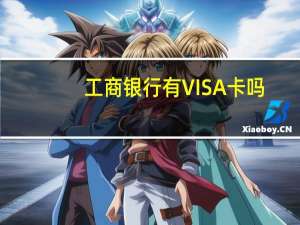 工商银行有VISA卡吗