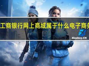 工商银行网上商城属于什么电子商务模式