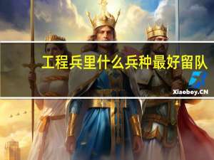 工程兵里什么兵种最好留队