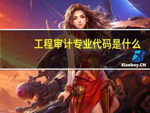 工程审计专业代码是什么