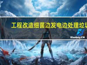 工程改造细菌边发电边处理垃圾