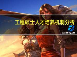 工程硕士人才培养机制分析