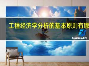 工程经济学分析的基本原则有哪些