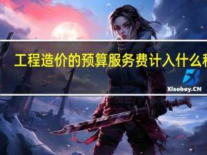 工程造价的预算服务费计入什么科目