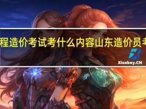 工程造价考试考什么内容 山东造价员考试试题