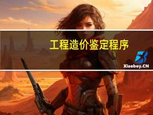 工程造价鉴定程序