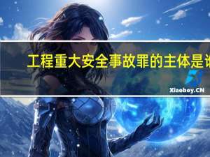 工程重大安全事故罪的主体是谁