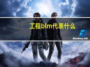 工程blm代表什么