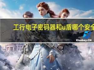 工行电子密码器和u盾哪个安全（工行密码器和u盾区别）