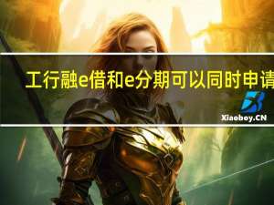 工行融e借和e分期可以同时申请吗