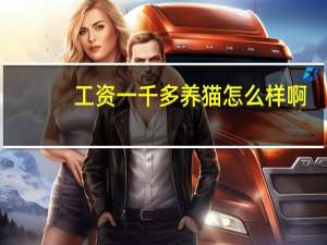 工资一千多养猫怎么样啊