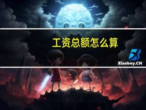 工资总额怎么算