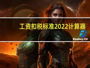 工資扣稅標(biāo)準(zhǔn)2022計(jì)算器（工資扣稅）