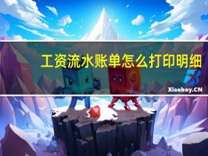 工资流水账单怎么打印明细（工资流水账单怎么打）