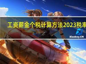 工资薪金个税计算方法2023税率表
