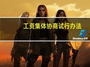 工资集体协商试行办法
