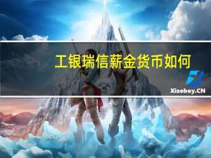 工银瑞信薪金货币如何