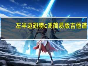 左半边翅膀c调简易版吉他谱（左半边翅膀歌词）